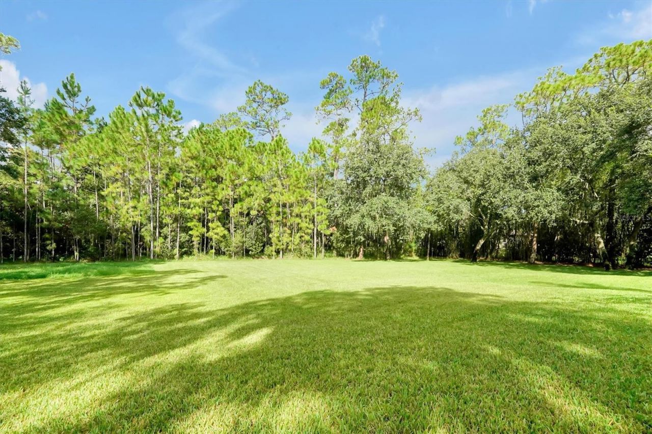 12012 Rambling Oak Boulevard, Orlando, FL 32832 Photo