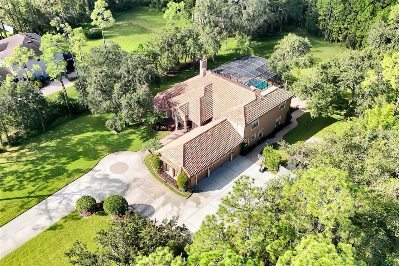 12012 Rambling Oak Boulevard, Orlando, FL 32832 Photo