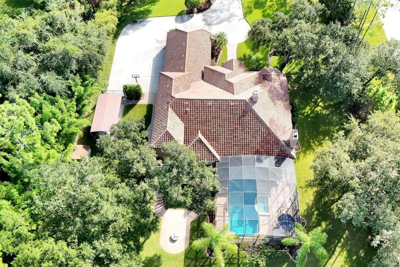 12012 Rambling Oak Boulevard, Orlando, FL 32832 Photo