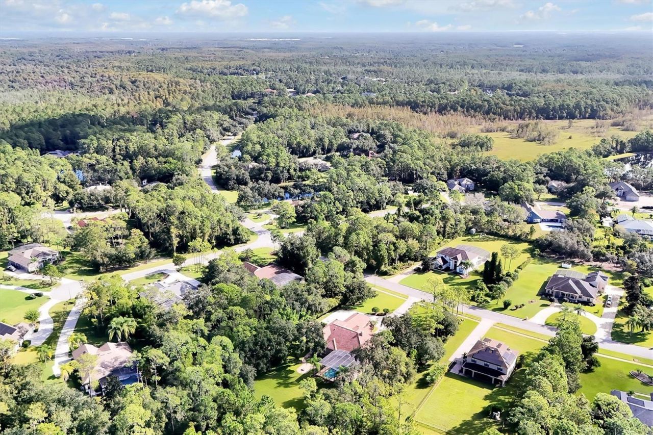 12012 Rambling Oak Boulevard, Orlando, FL 32832 Photo