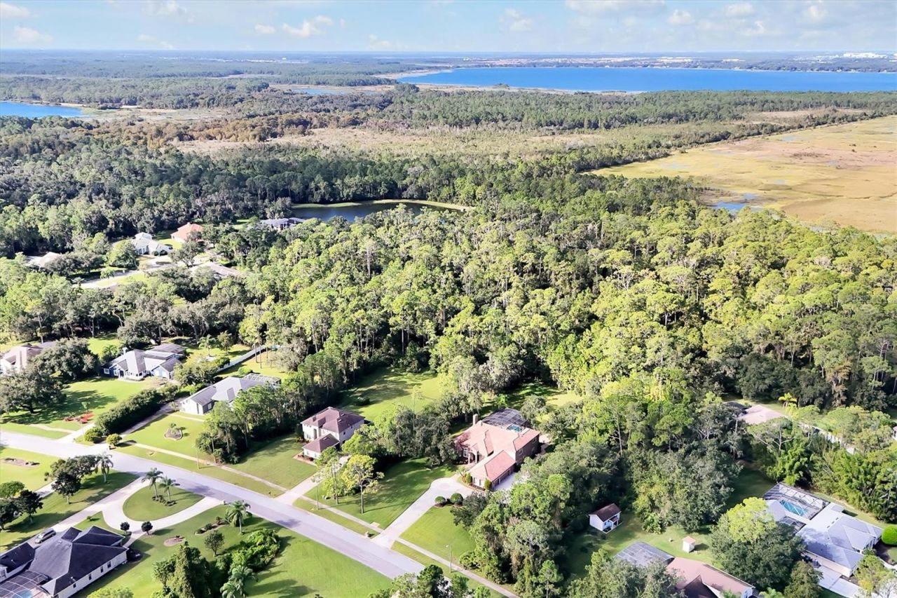 12012 Rambling Oak Boulevard, Orlando, FL 32832 Photo