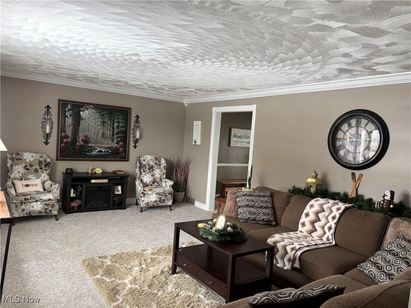 1005 Heatherwood Lane, Orrville, OH 44667 Photo 13