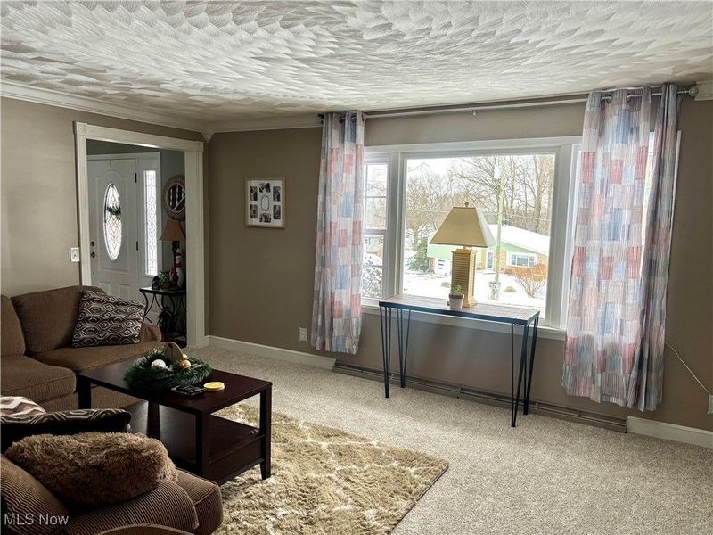 1005 Heatherwood Lane, Orrville, OH 44667 Photo 14