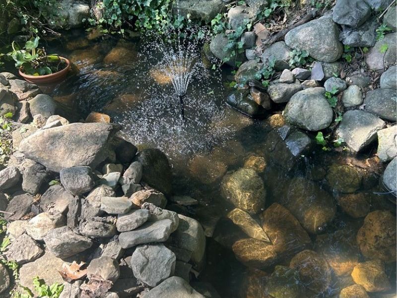 1005 Heatherwood Lane, Orrville, OH 44667 Photo 33