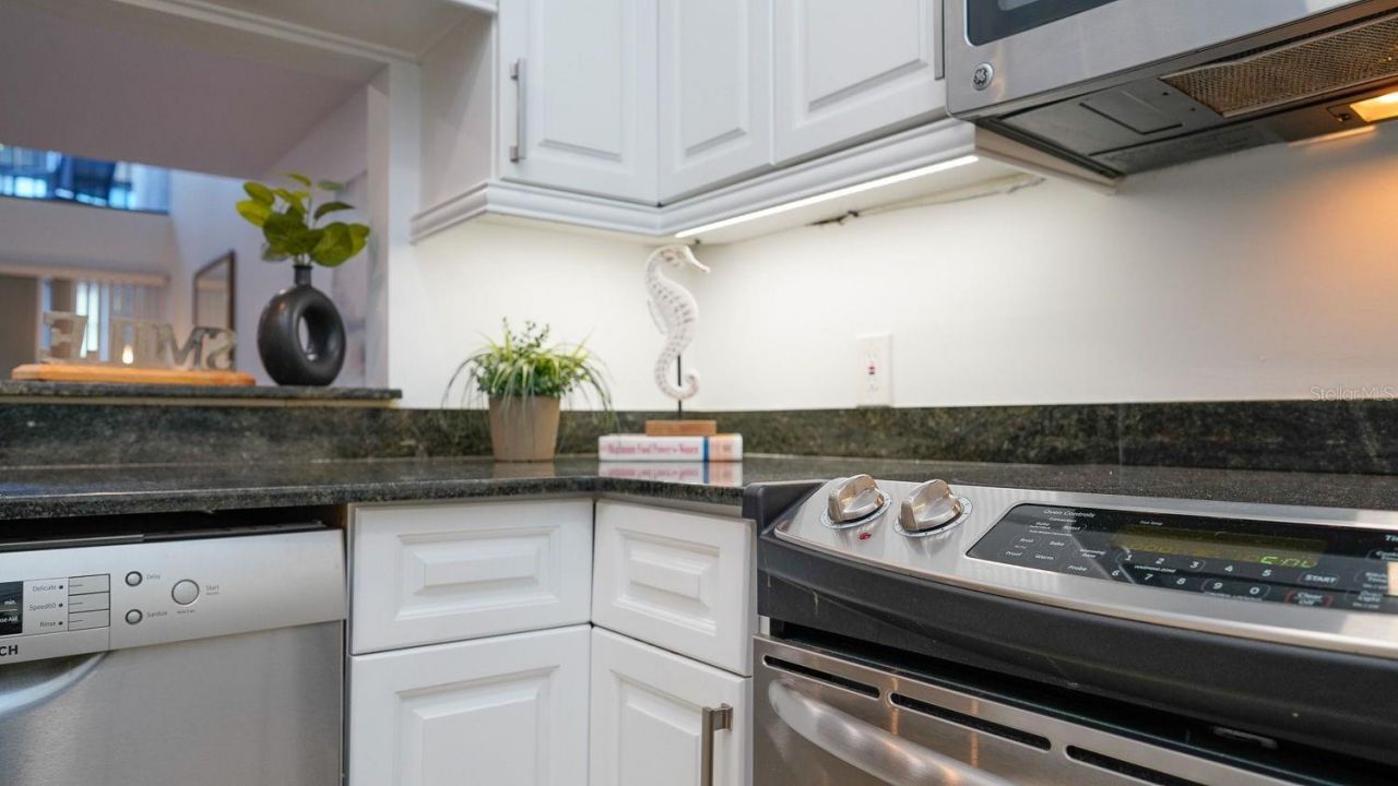 301 2nd Street N, Unit 14, Saint Petersburg, FL 33701 Photo