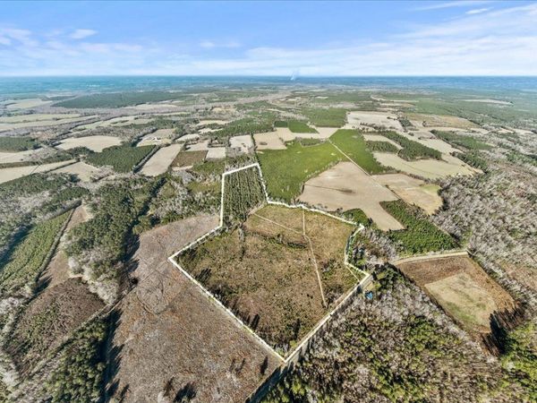 TBD Witherspoon Rd., Kingstree, SC 29556