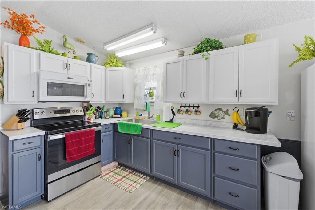 11650 Wild Flax Dr, Fort Myers, FL 33908 Photo