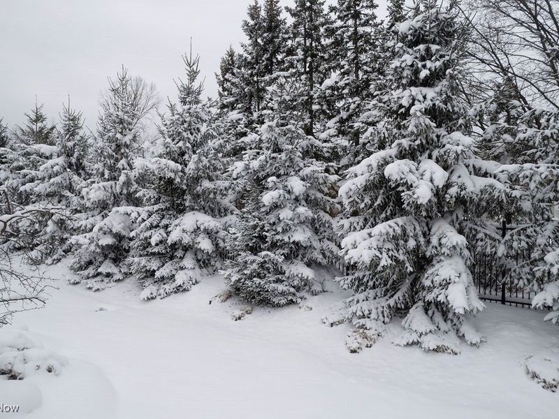 16 Deerfield Lane, Beachwood, OH 44122 Photo 40