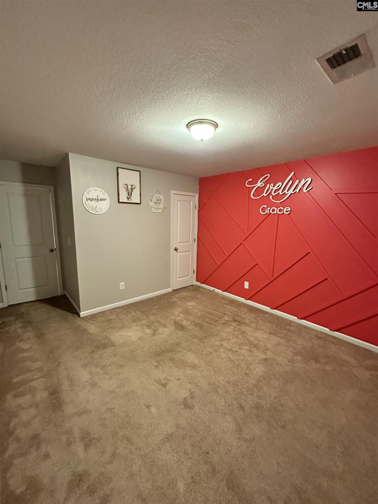 375 Colony Lakes Drive  Photo 11