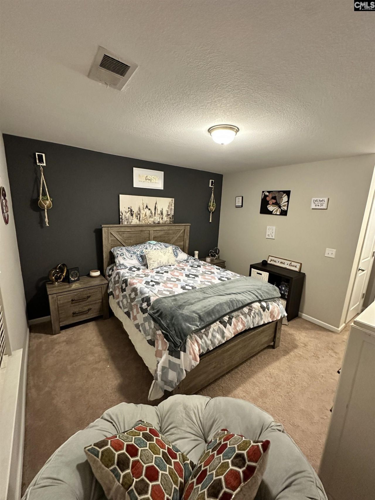 375 Colony Lakes Drive  Photo 12