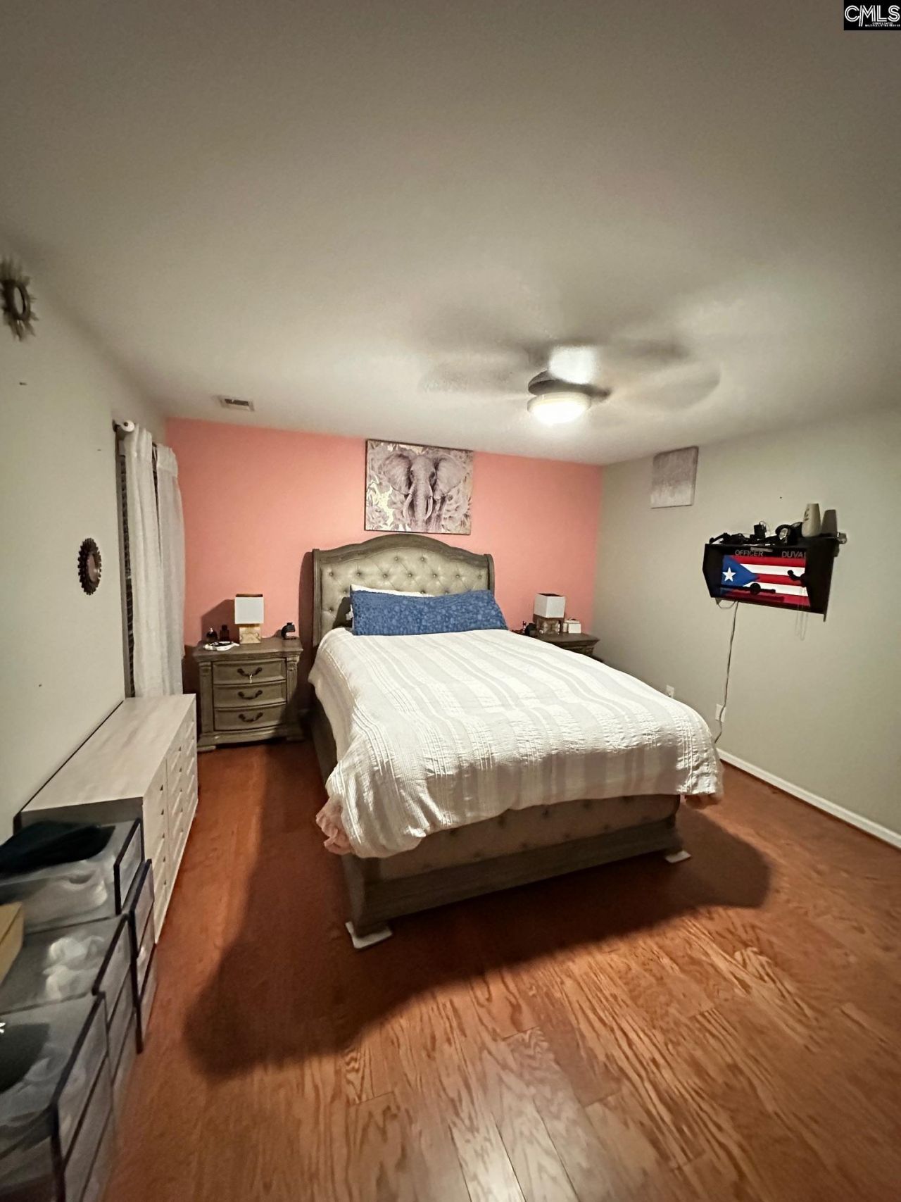 375 Colony Lakes Drive  Photo 13