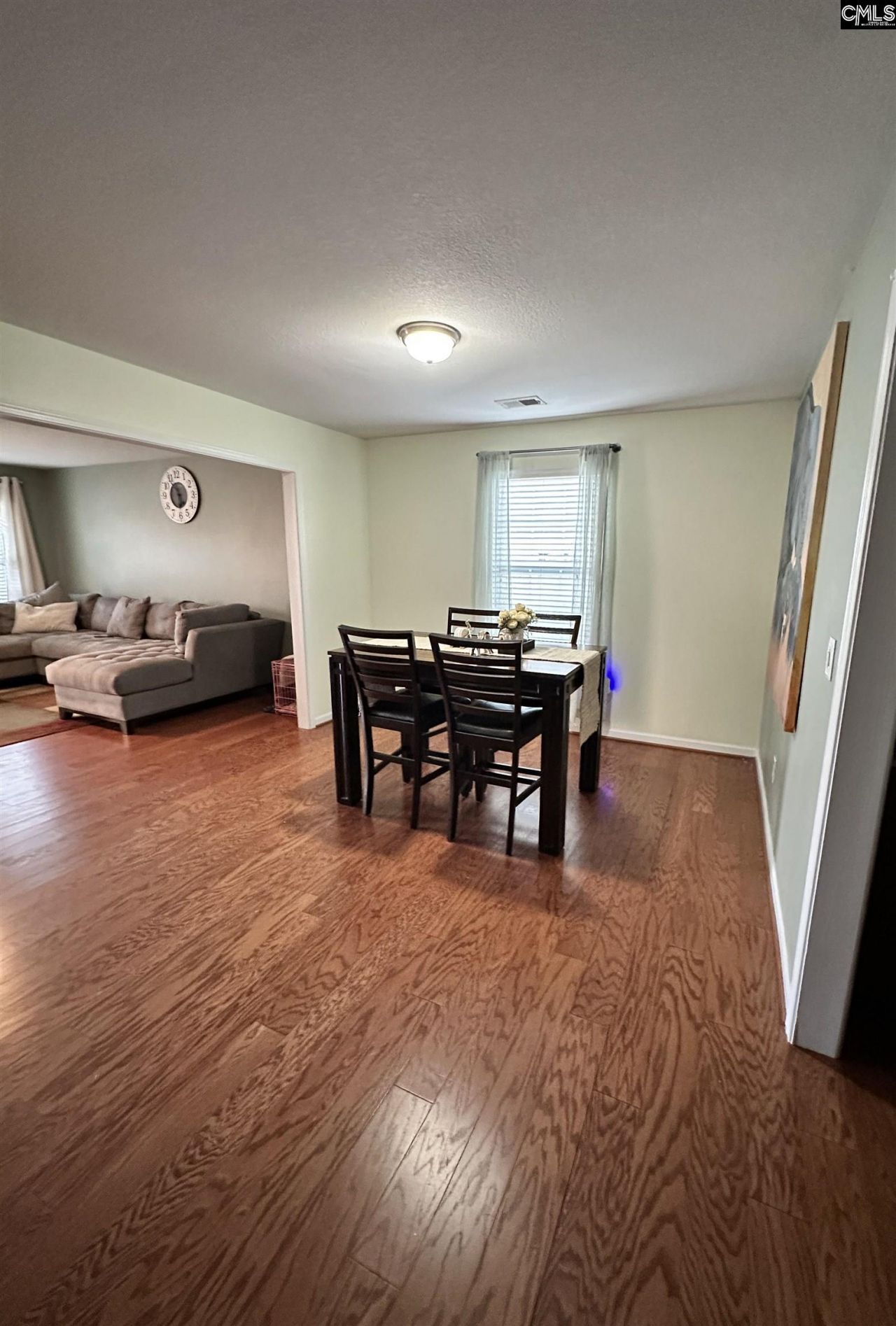 375 Colony Lakes Drive  Photo 9