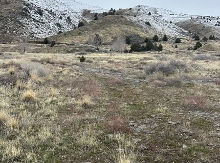 2000 Us-395, Gardnerville, NV 89410 Photo