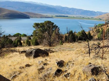 2000 Us-395, Gardnerville, NV 89410 Photo