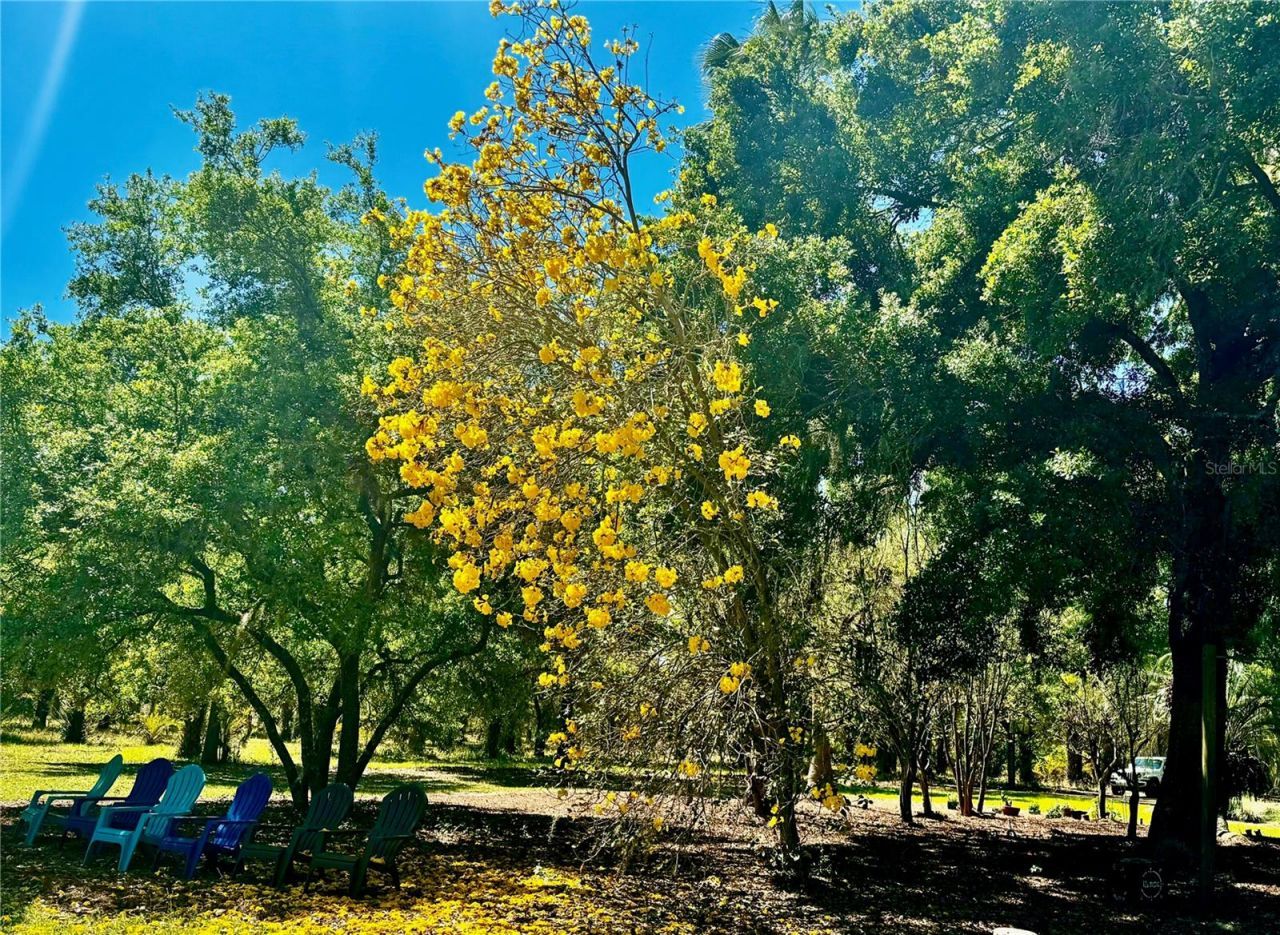 6037 Lake Erie Road, Groveland, FL 34736 Photo