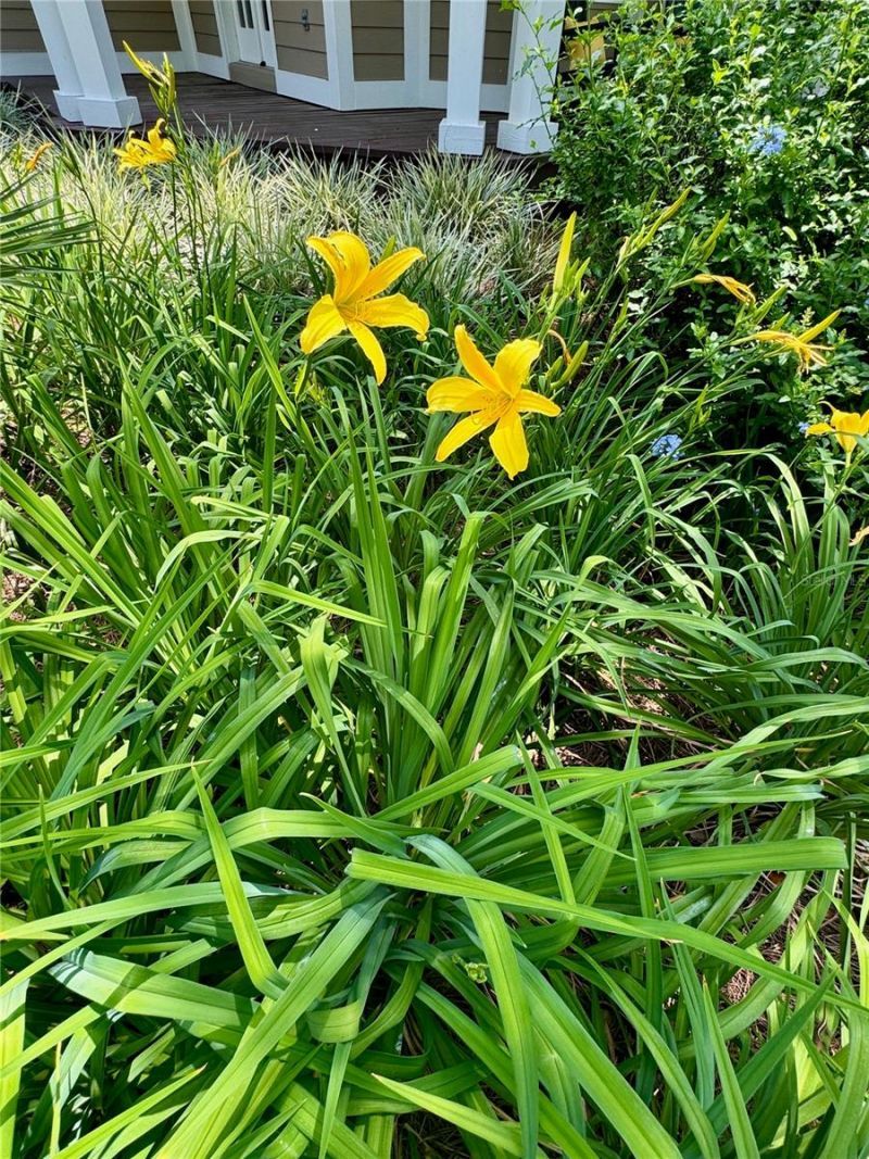 6037 Lake Erie Road, Groveland, FL 34736 Photo