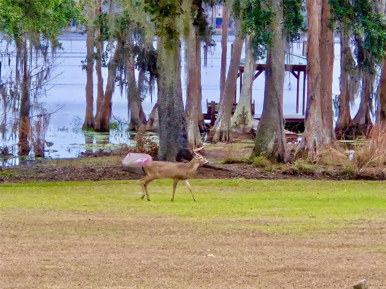 6037 Lake Erie Road, Groveland, FL 34736 Photo