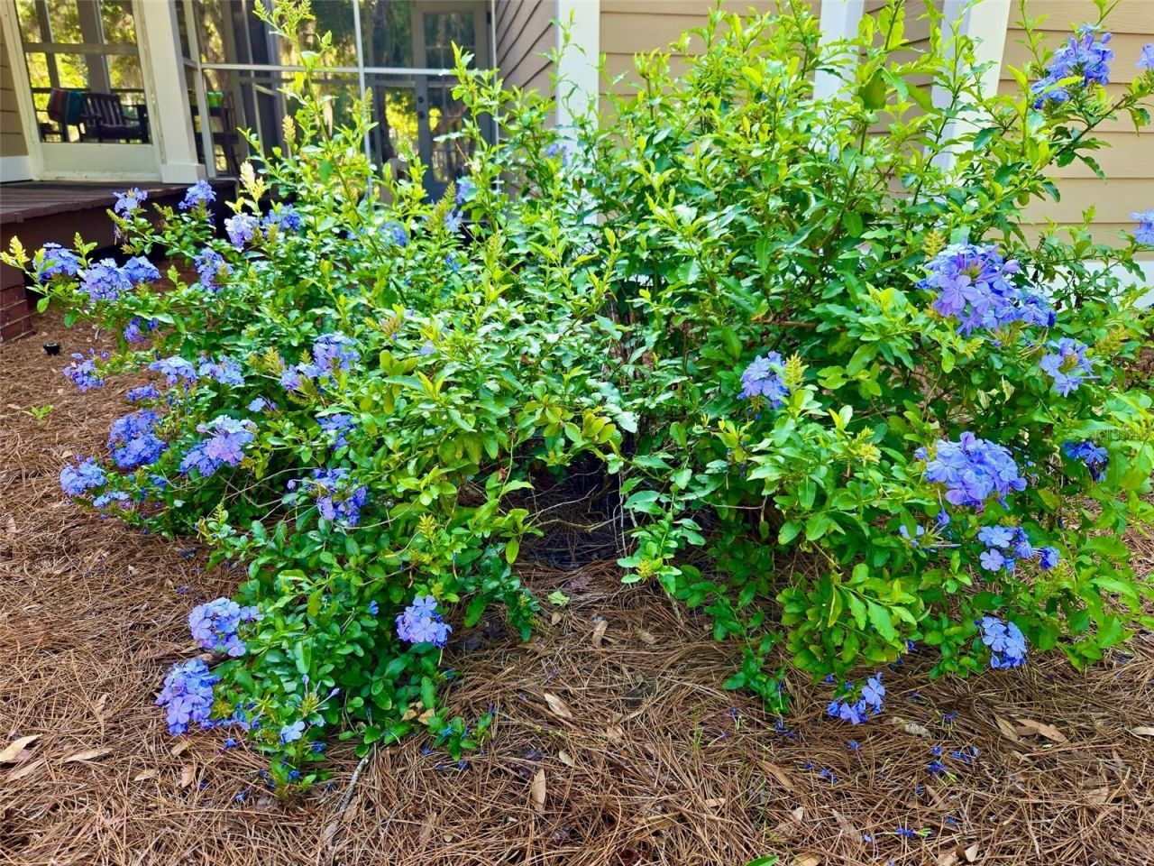 6037 Lake Erie Road, Groveland, FL 34736 Photo