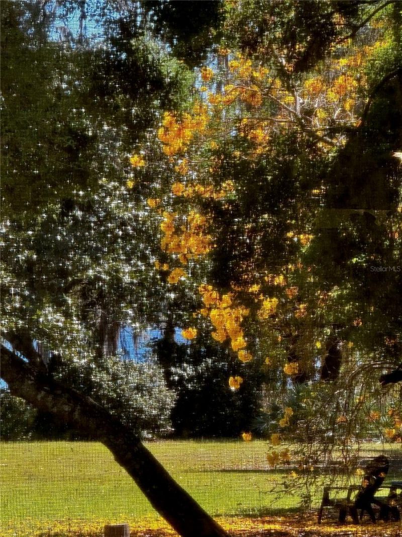 6037 Lake Erie Road, Groveland, FL 34736 Photo