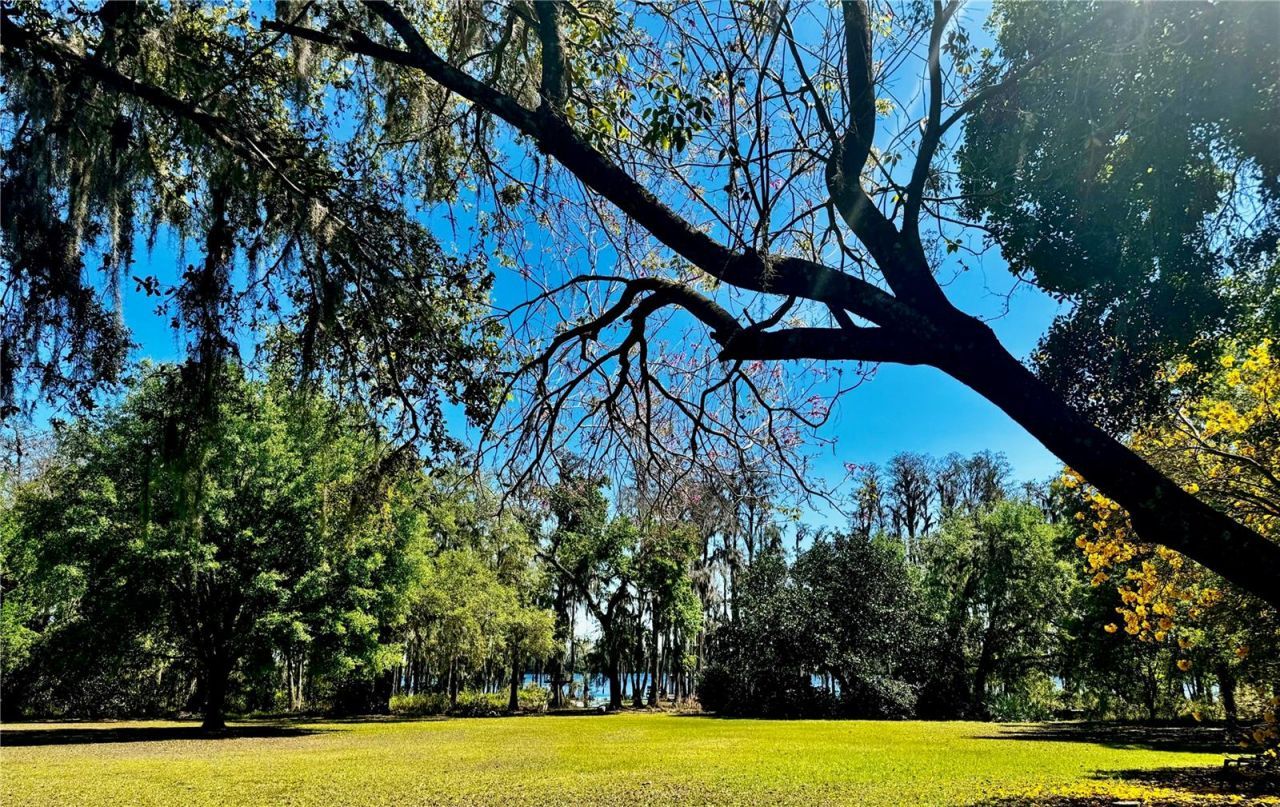 6037 Lake Erie Road, Groveland, FL 34736 Photo