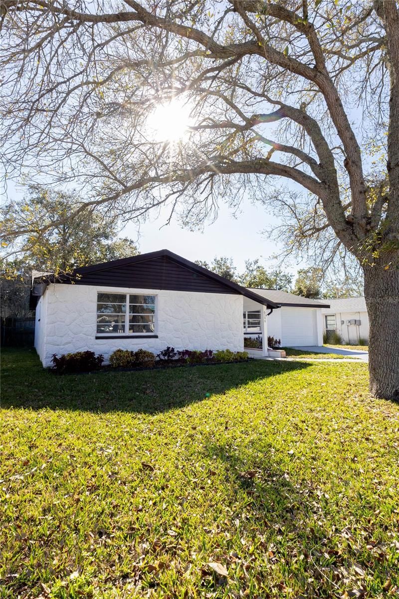 6340 Westport Drive, Port Richey, FL 34668 Photo