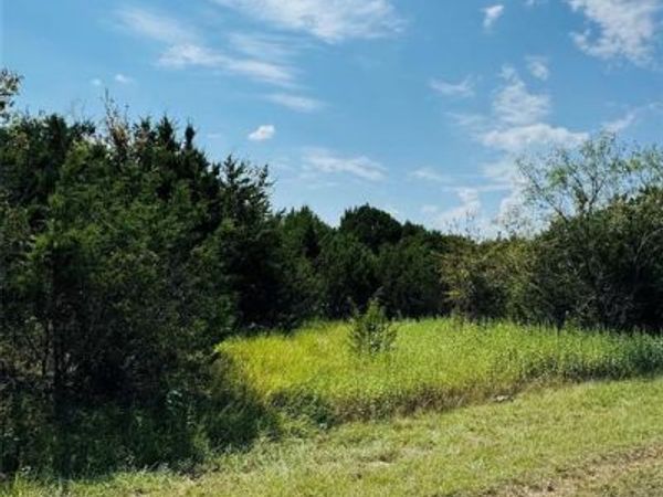 36060 Cedar Ridge Drive, Whitney, TX 76692