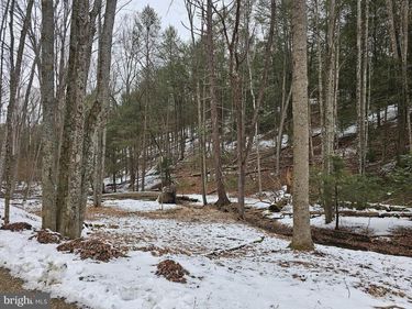 0 SPRIGGLE ROAD, ELLIOTTSBURG, PA 17024