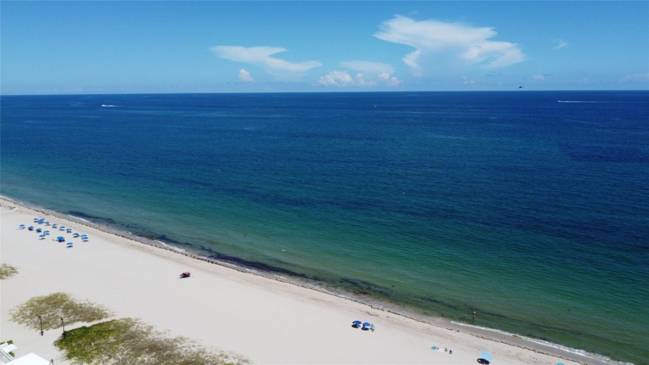 5200 N Ocean Boulevard, Unit 115A, Fort Lauderdale, FL 33308 Photo