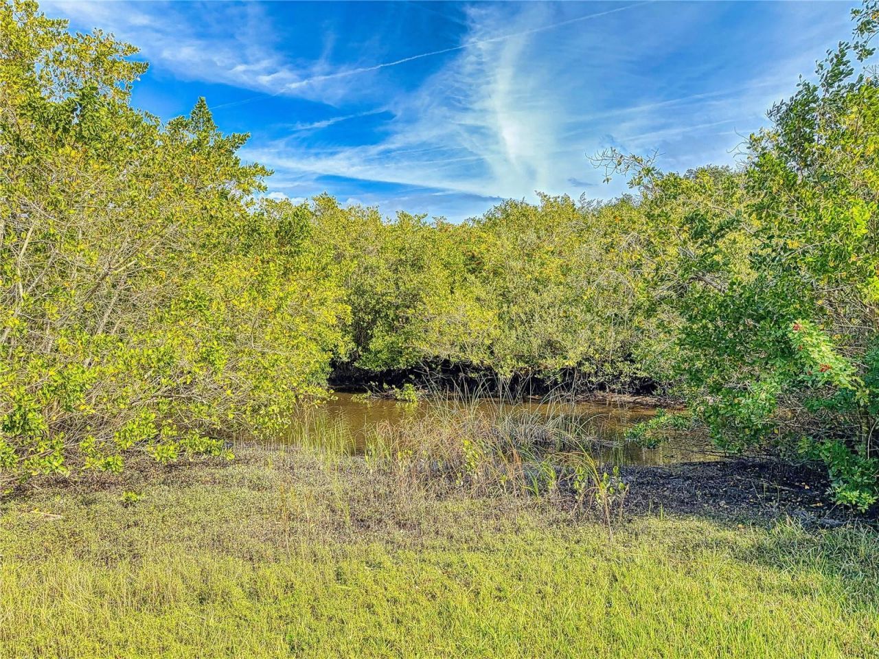 1305 Wayne Avenue, New Smyrna Beach, FL 32168 Photo