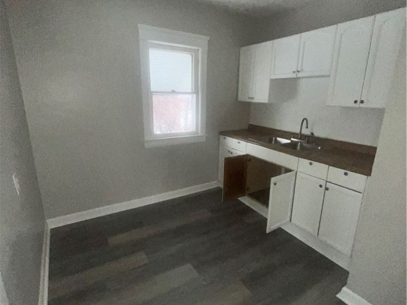 987 Evangeline Road, Cleveland, OH 44110 Photo 2