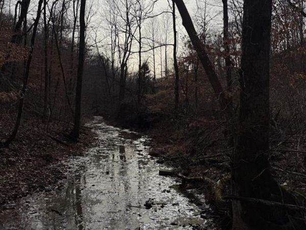 1957 Old 61 Loop Road, Breeding, KY 42728