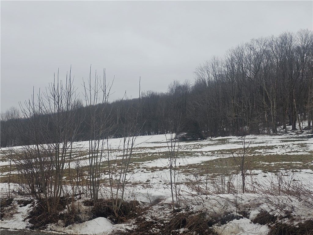 Thornton Road, Cherry Creek, NY 14723 Main Photo