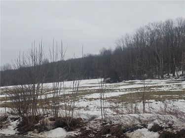 Thornton Road, Cherry Creek, NY 14723