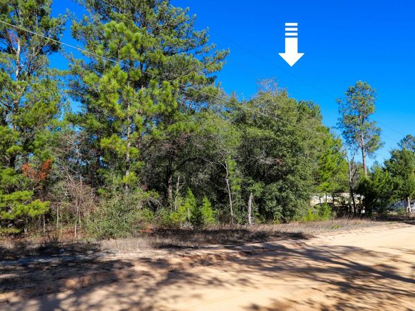 LOT 23 E Marigold East Avenue, DeFuniak Springs, FL 32433