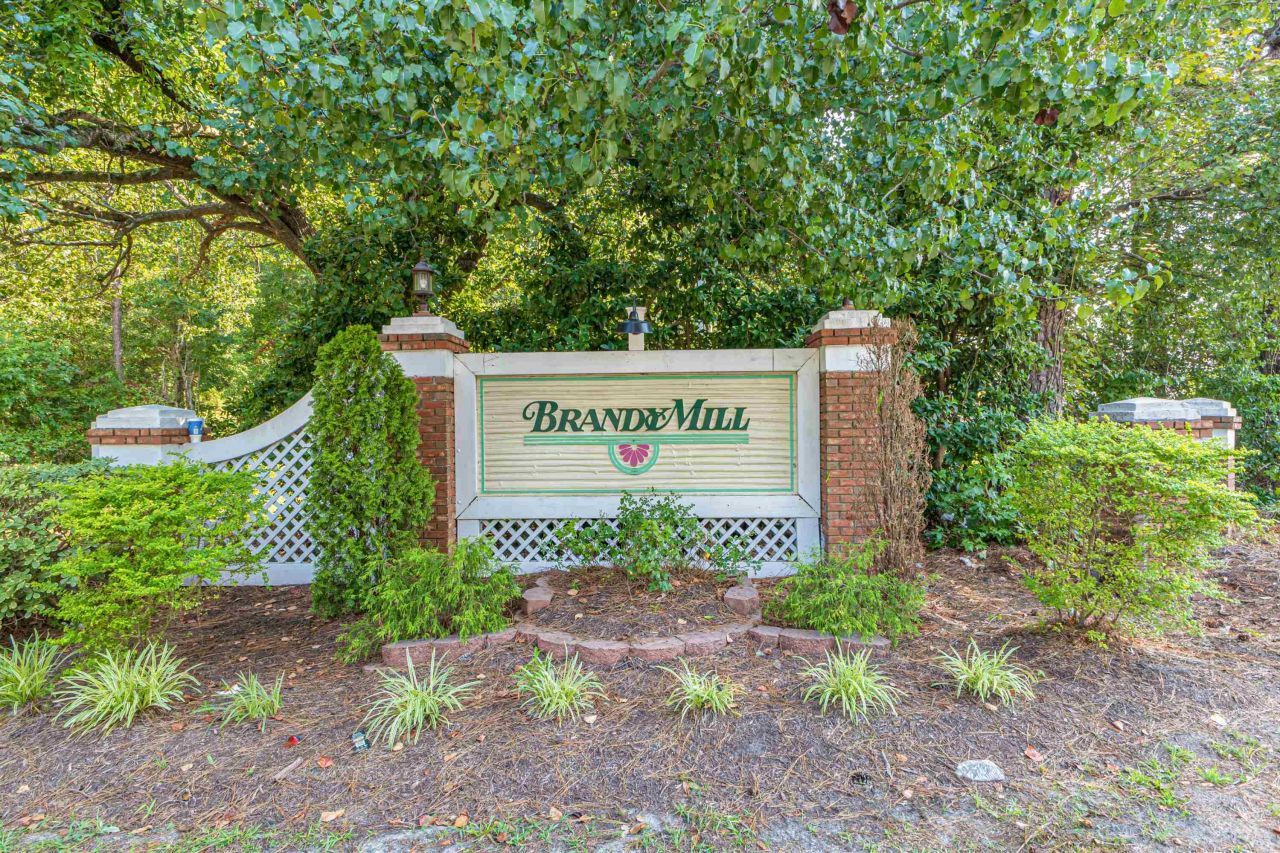 105 Old Carriage Ct. Photo 36