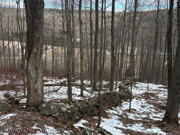 58 County Hwy 36 Kelly Corners-Denver-Vega Road, Margaretville, NY 12445