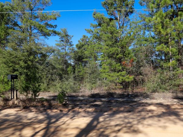 LOT 24 E Marigold Avenue, DeFuniak Springs, FL 32433