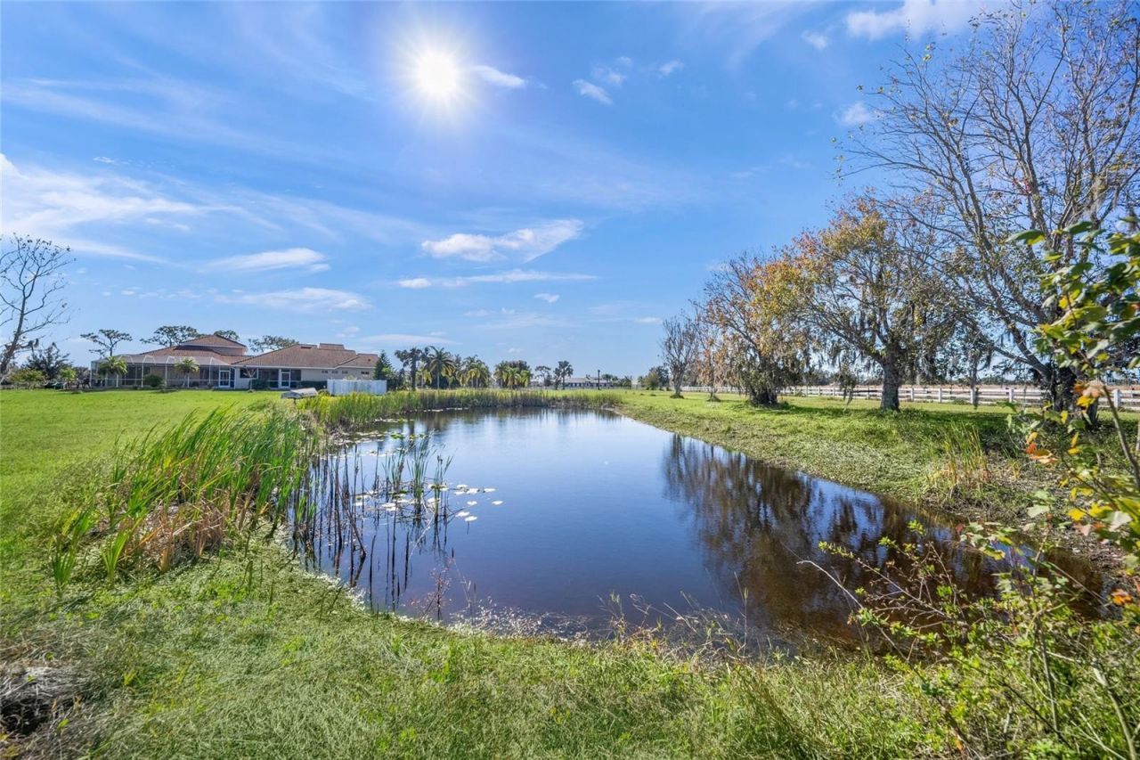 16123 Cutting Horse Trail, Myakka City, FL 34251 Photo