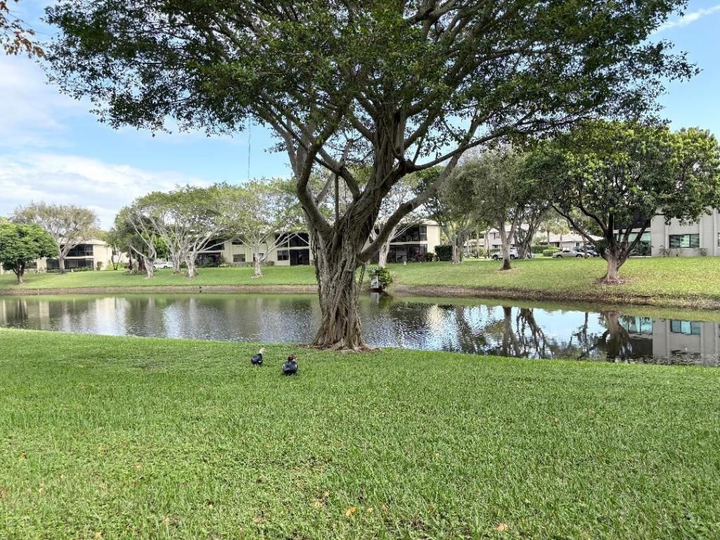 50 Stratford Lane, Unit E, Boynton Beach, FL 33436 Photo