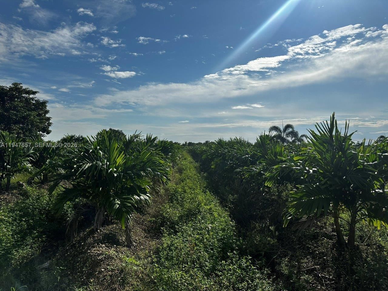 19051 SW 372 St. , Homestead, FL 33034 Photo