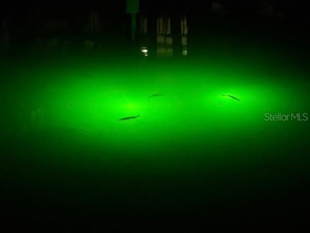 4881 Oxford Drive, Siesta Key, FL 34242 Photo