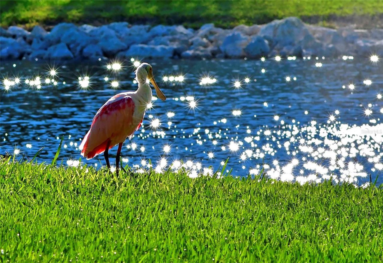 4855 Independence Drive, Bradenton, FL 34210 Photo