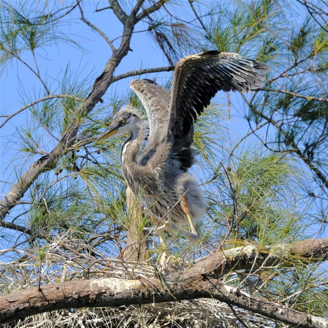 4855 Independence Drive, Bradenton, FL 34210 Photo