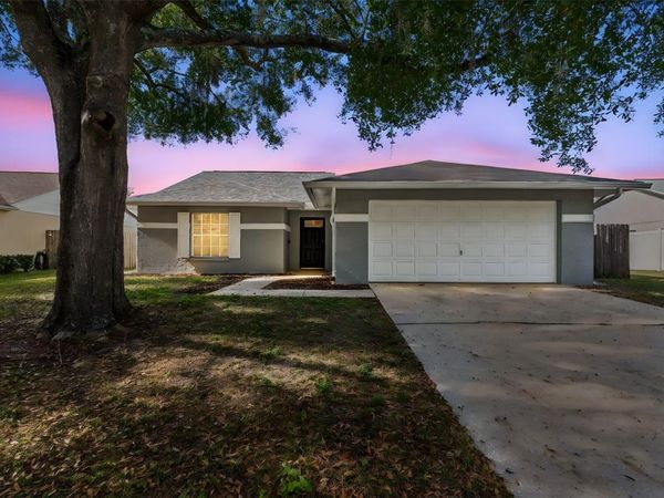 1615 COBBLER DRIVE, LUTZ, FL 33559