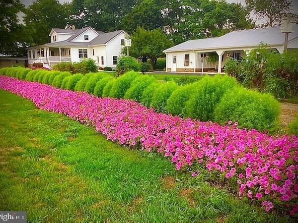 1340 HAZLETTVILLE ROAD, HARTLY, DE 19953