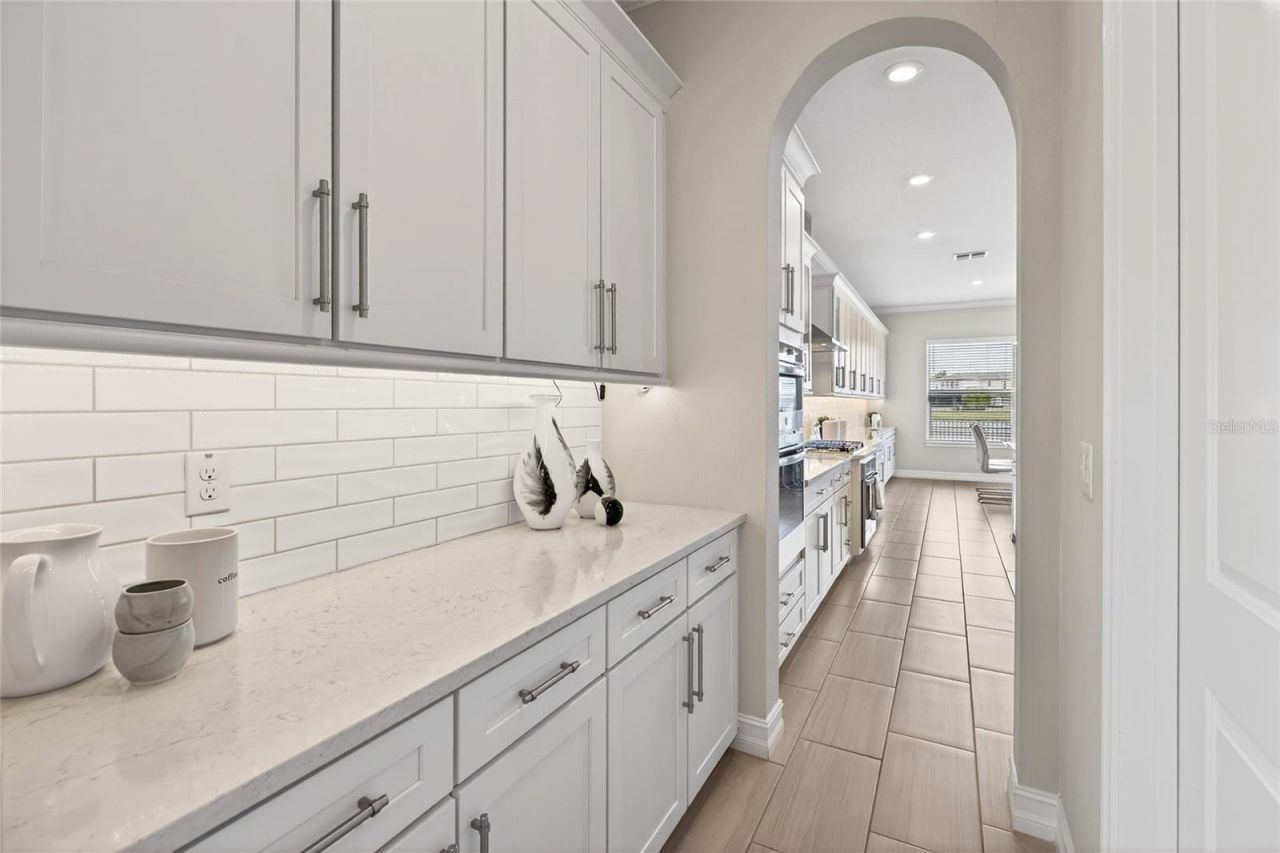 18215 Leafmore Street, Lutz, FL 33548 Photo