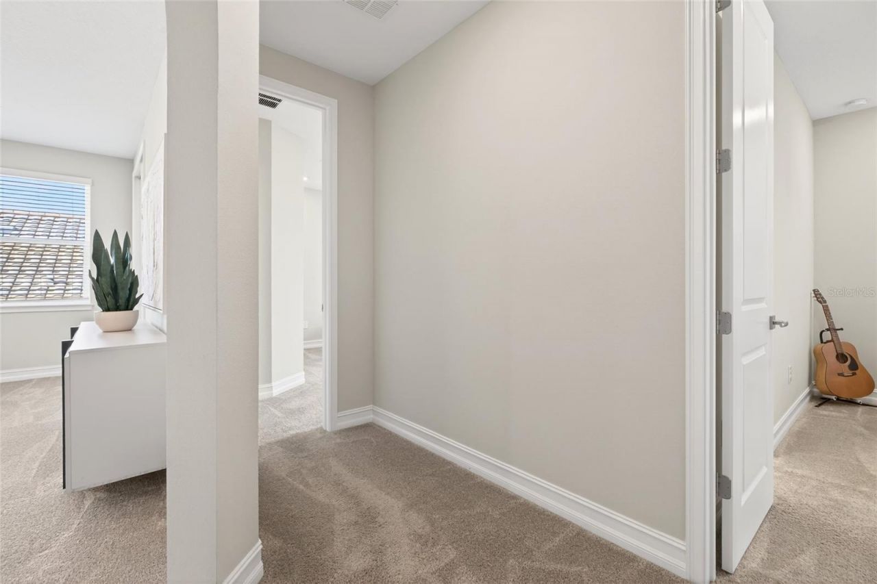 18215 Leafmore Street, Lutz, FL 33548 Photo