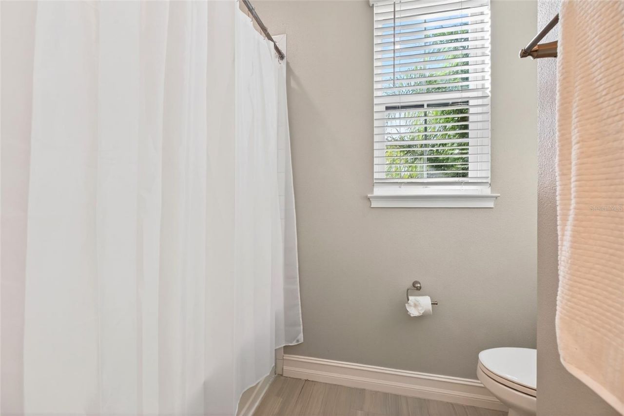 18215 Leafmore Street, Lutz, FL 33548 Photo