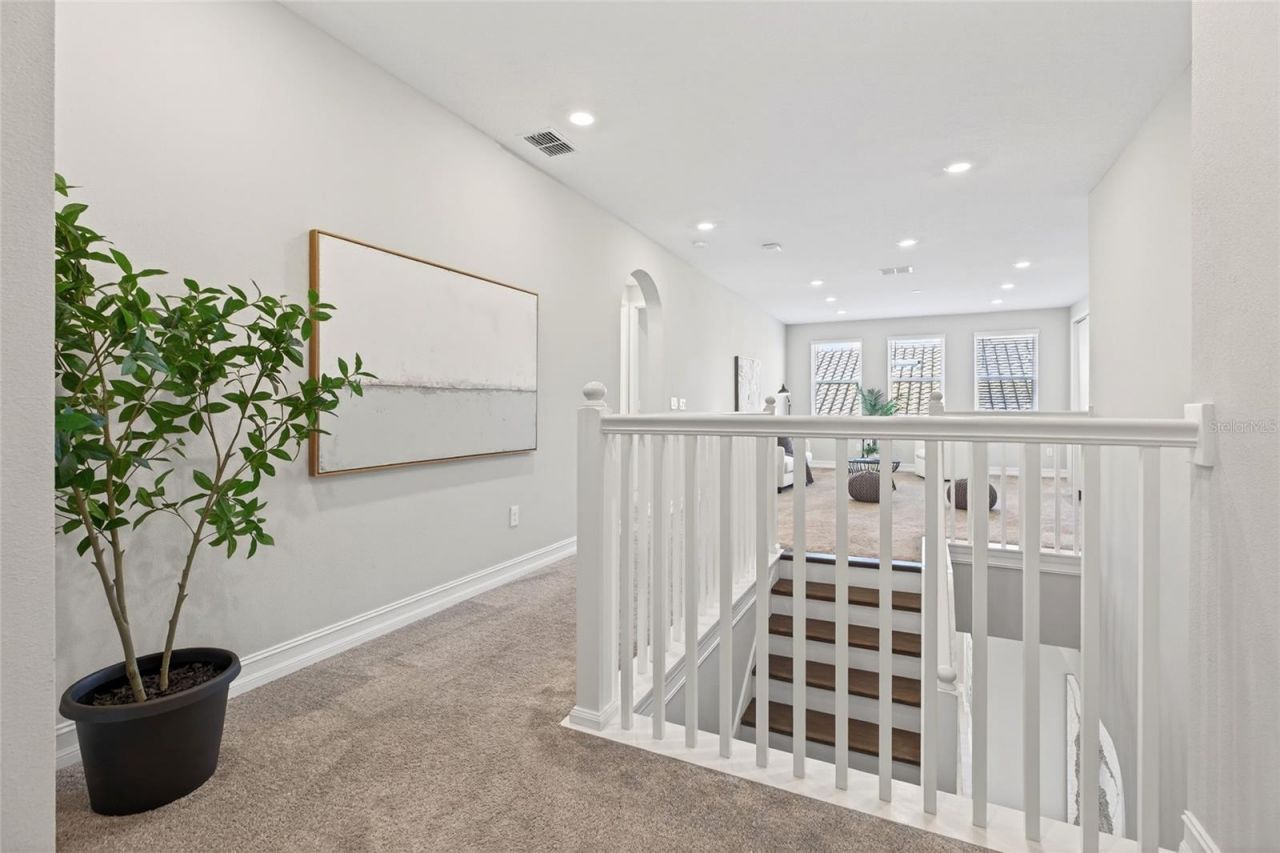 18215 Leafmore Street, Lutz, FL 33548 Photo