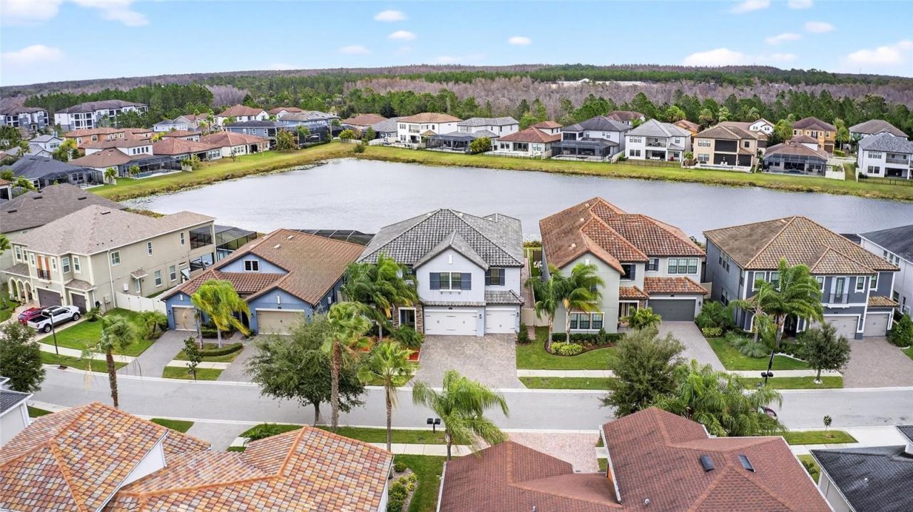 18215 Leafmore Street, Lutz, FL 33548 Photo